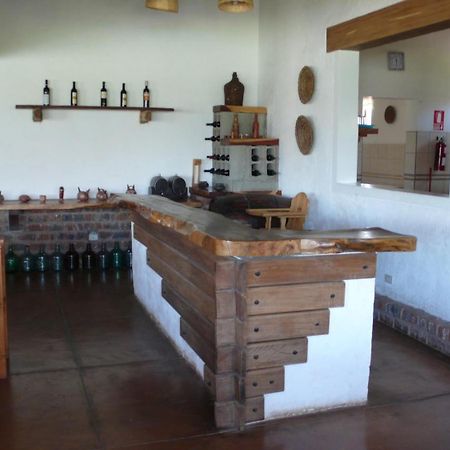 ホテル Casa Hacienda Nasca Oasis ナスカ エクステリア 写真