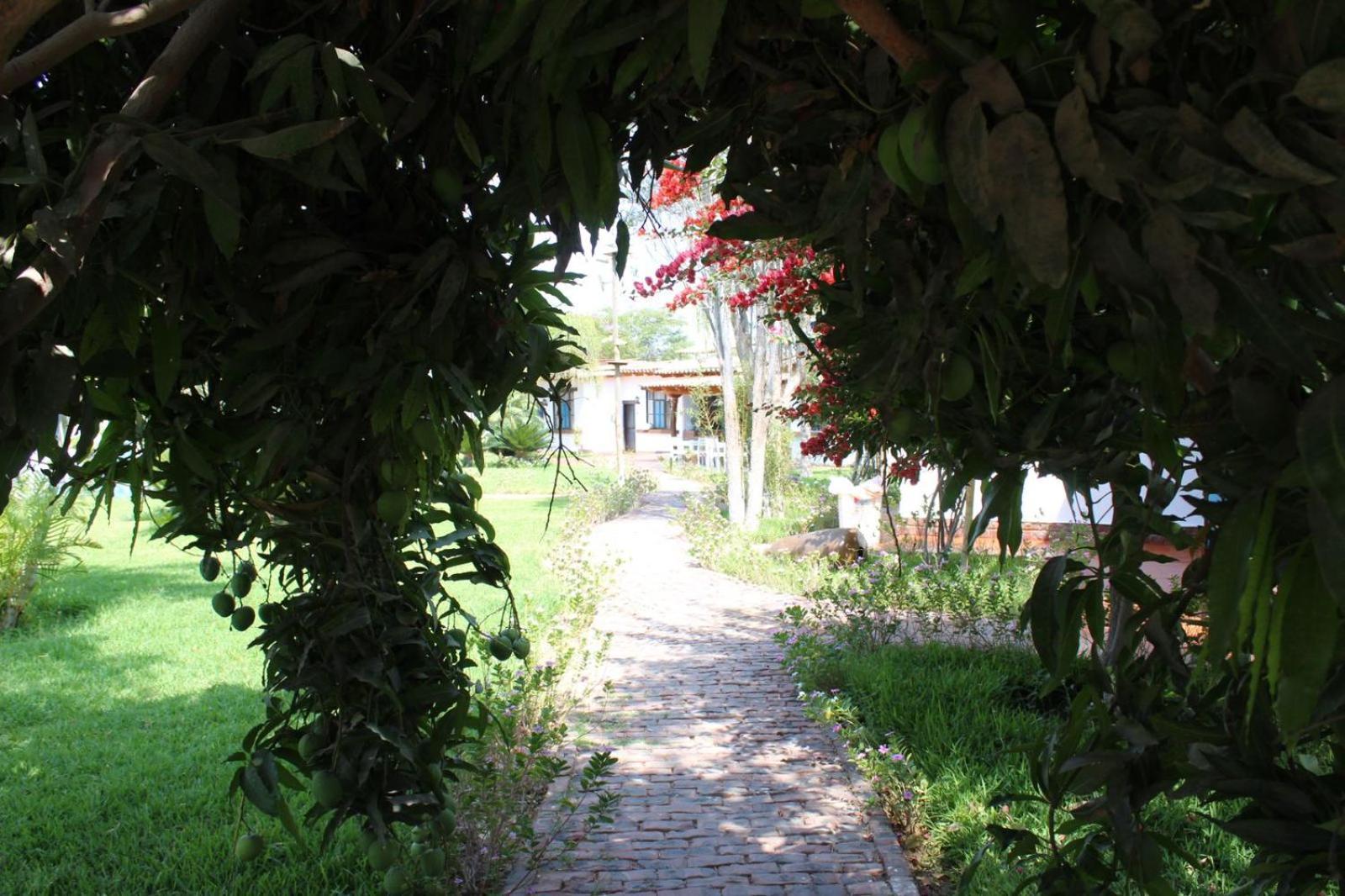 ホテル Casa Hacienda Nasca Oasis ナスカ エクステリア 写真
