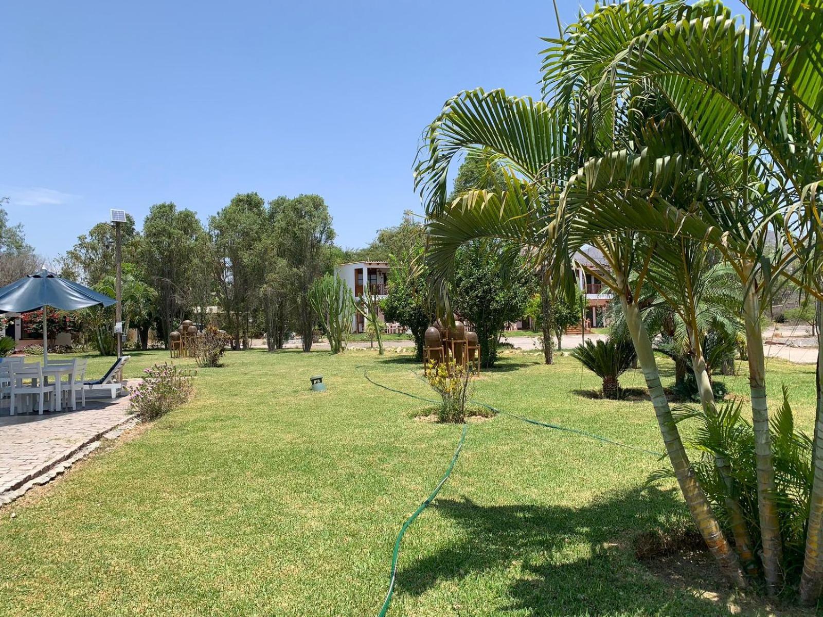 ホテル Casa Hacienda Nasca Oasis ナスカ エクステリア 写真