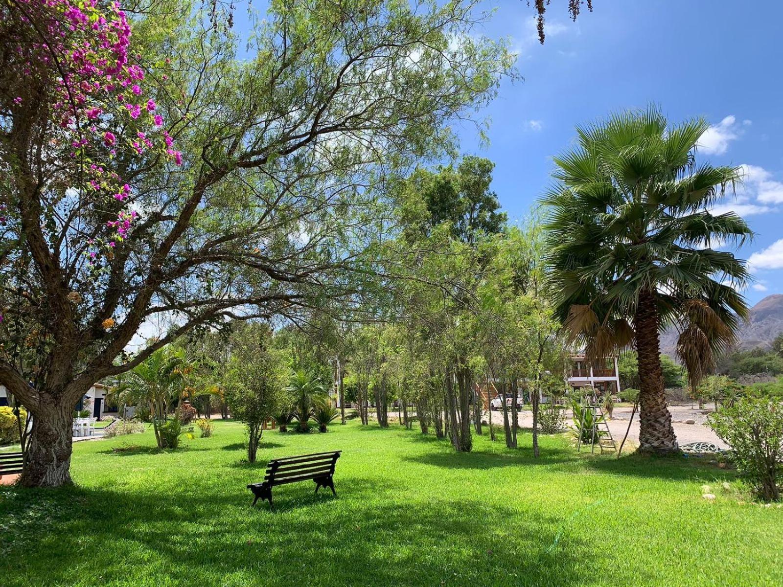 ホテル Casa Hacienda Nasca Oasis ナスカ エクステリア 写真