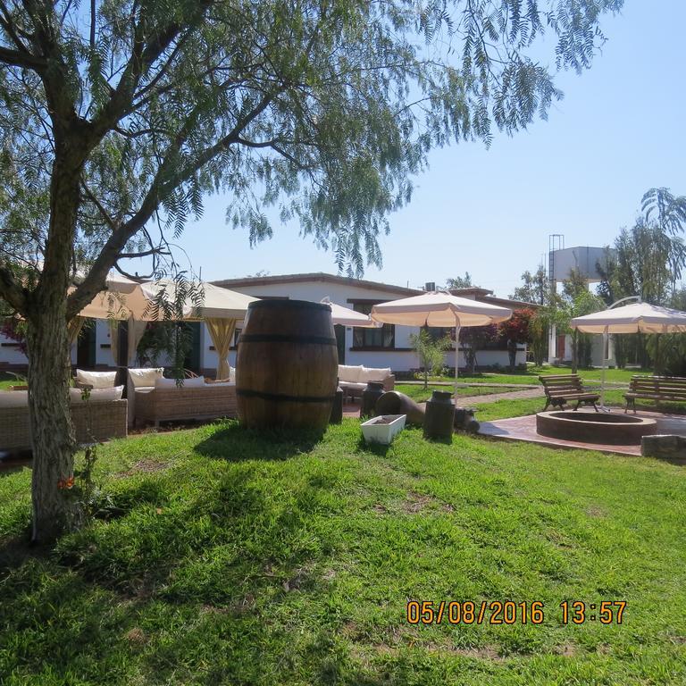 ホテル Casa Hacienda Nasca Oasis ナスカ エクステリア 写真