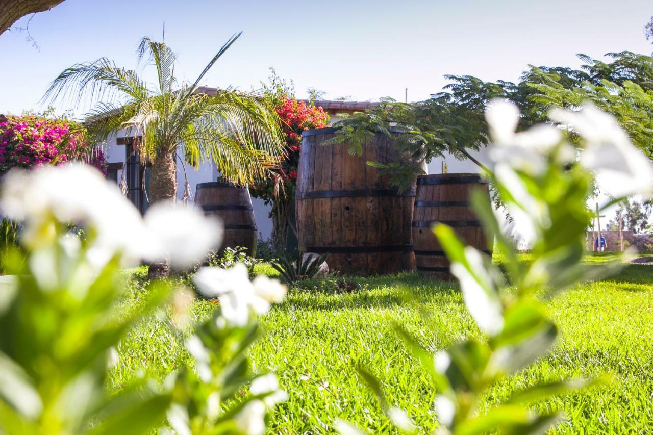 ホテル Casa Hacienda Nasca Oasis ナスカ エクステリア 写真