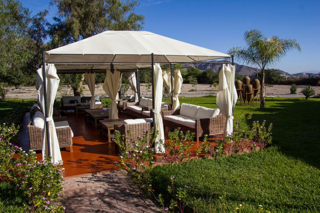 ホテル Casa Hacienda Nasca Oasis ナスカ エクステリア 写真